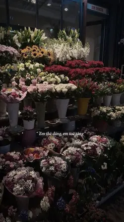 Em thả dáng em toa 🩵