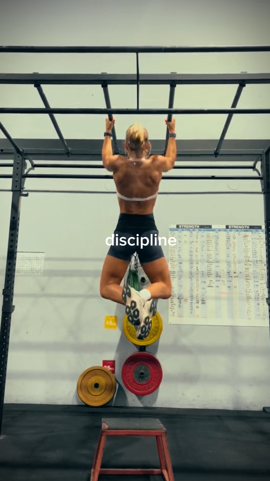 Discipline 