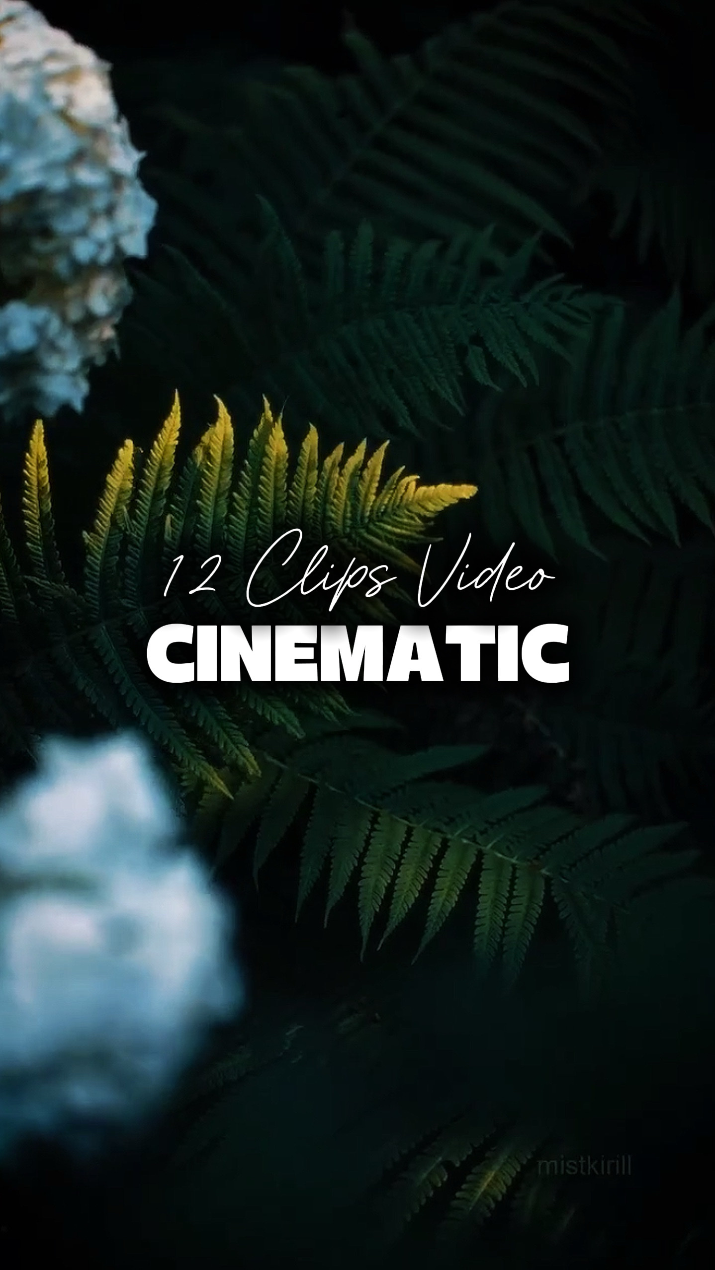 12 CLIPS VIDEO 