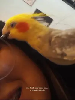 meu maior medo