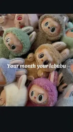 Ur month,your labubu