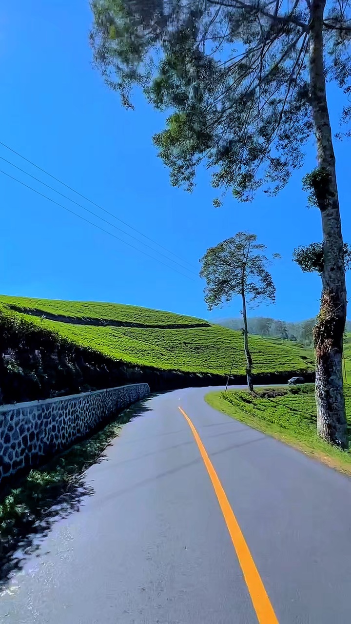 6 video travel road