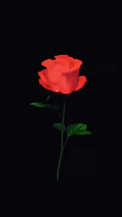 Roses Exploding