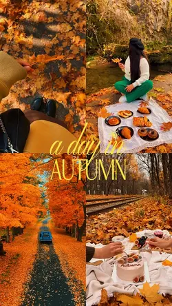 A day in autumn