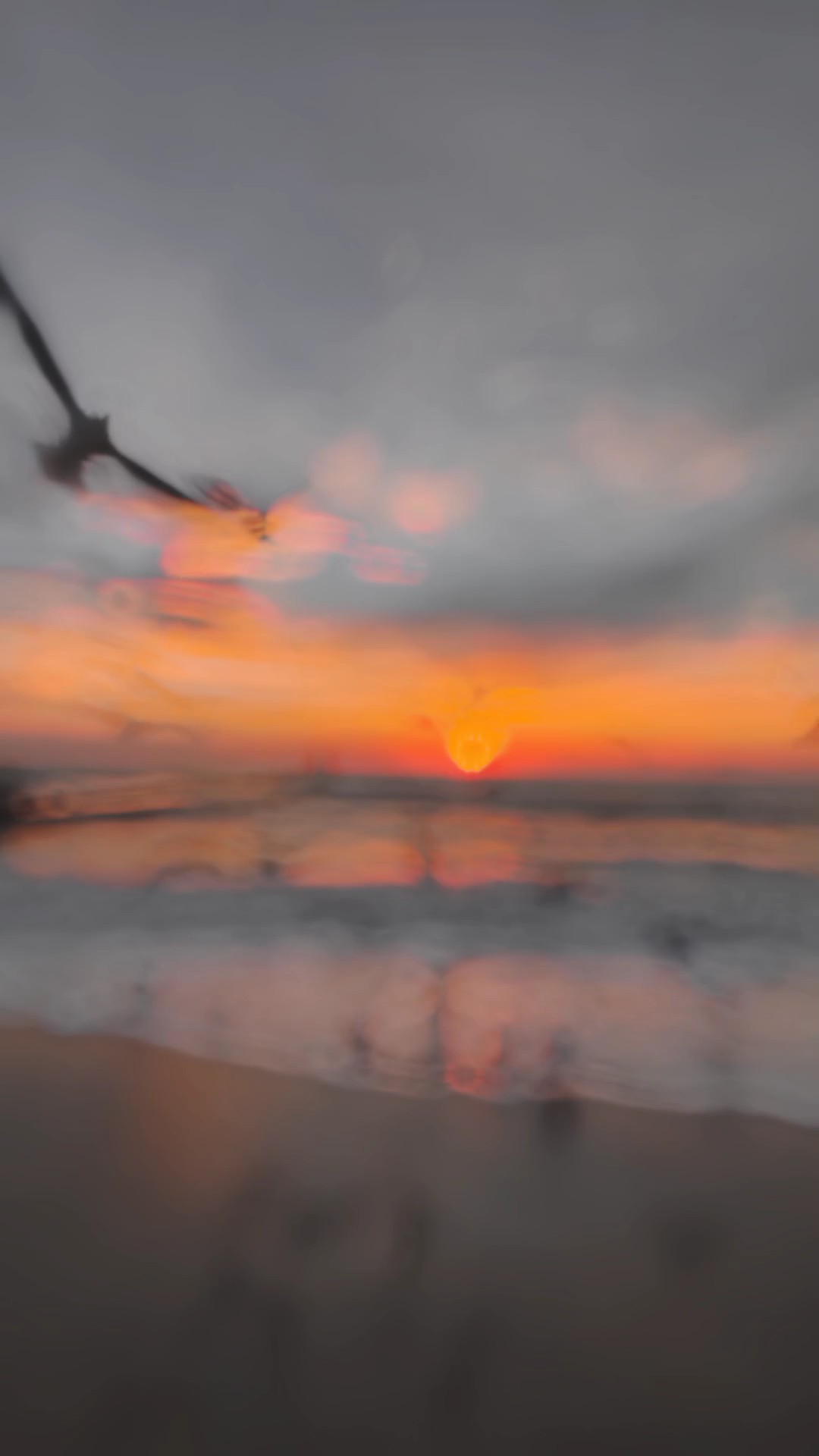 slowmotions 6 clips 