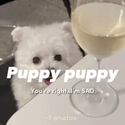 Puppy puppy 🐶 