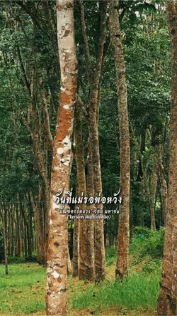 ชุดครุยที่นุ้ยได้ใส่