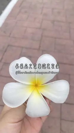 那盏茶