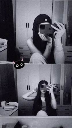 Cat sticker