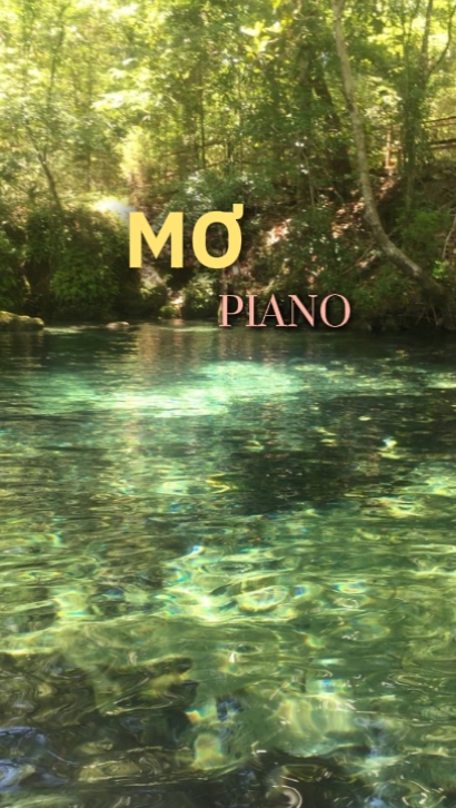 Meu piano