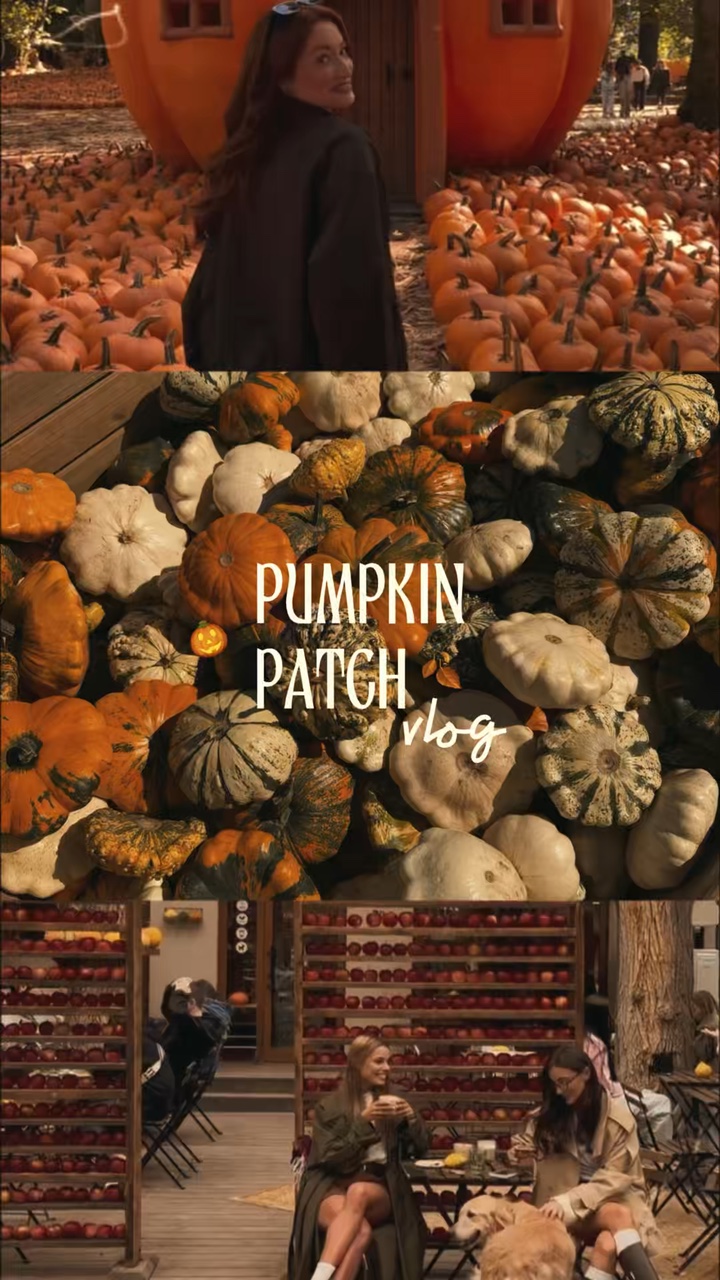 Pumpkin Patch Vlog🎃