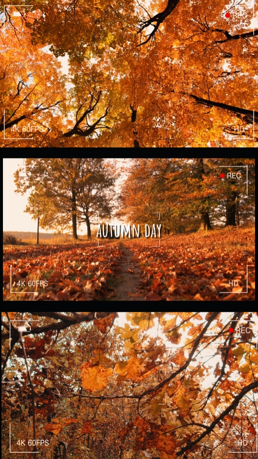 JOUR D'AUTOMNE