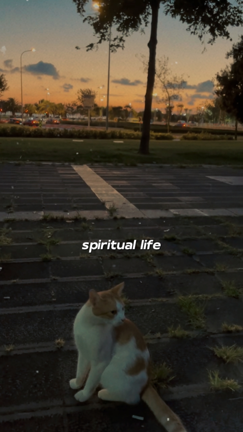 Spiritual Life