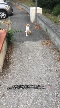 Je m’arrête pour..