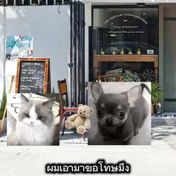 ผมเอามาขอโทษมึง