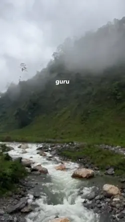 guru kerasaktiviral