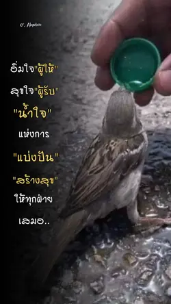 สุขแห่งการแบ่งปัน