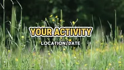 activity today