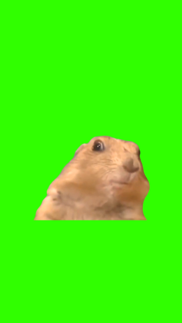 Dramatic Chipmunk 