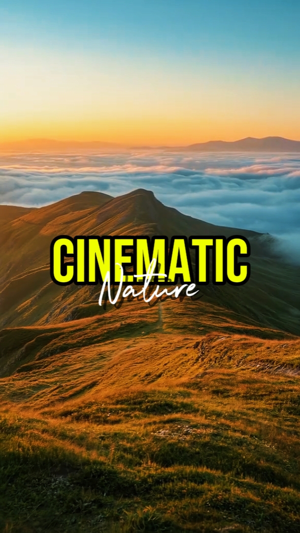 NATURE CINEMATIC