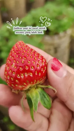 pagi yang indah