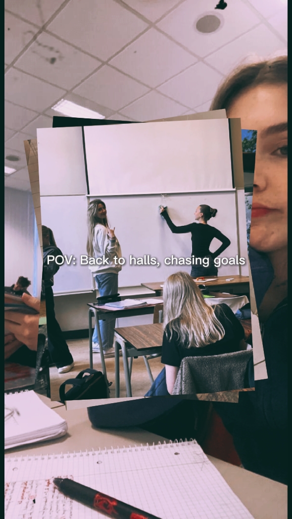 Back to halls