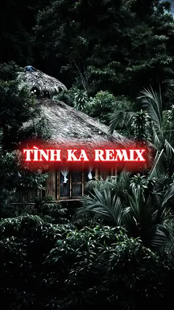 TÌNH KA REMIX 4 ẢNH