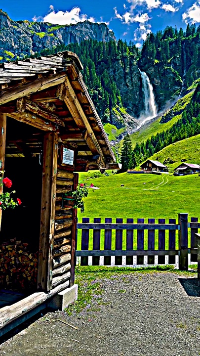 Cover Picture