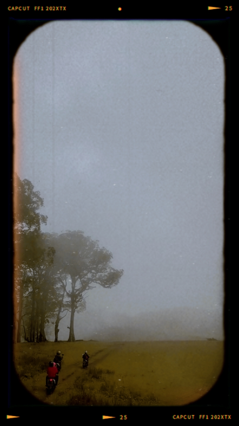 Día de Lofi