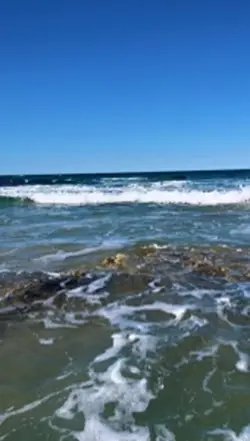 beach & steve irwin 