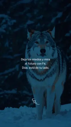 Deja los miedos