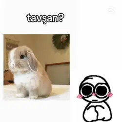 muhehwhwhehhehw