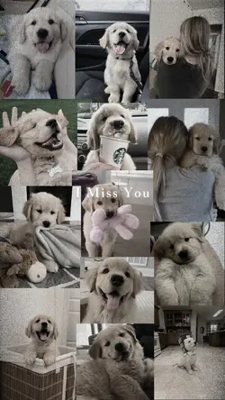 I Miss You Doggy 