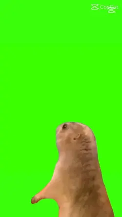 놀란 친구 합성 ㄱㄱ