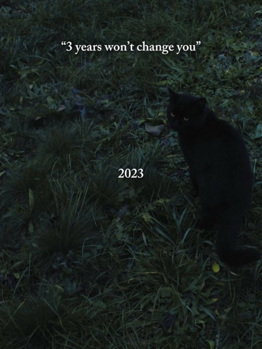 3 años cambiarán