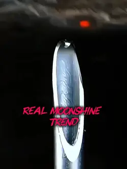 real moonshine 