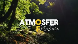 atmosfer of nature