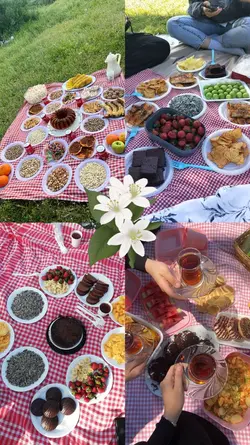 yeni Şablon 