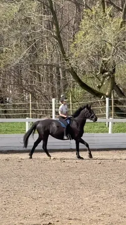 1st bareback canter!