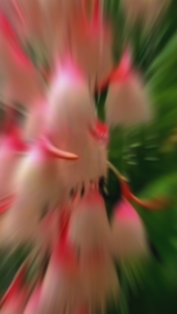 هذا خلق الله quran 