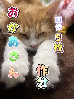 おかあさんで作文作ってみました