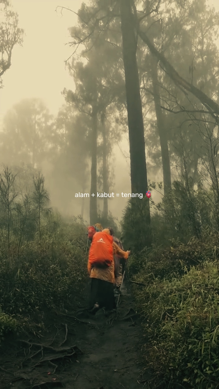 Alam dan kabut