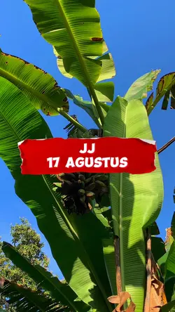 17 Agustus JJ 