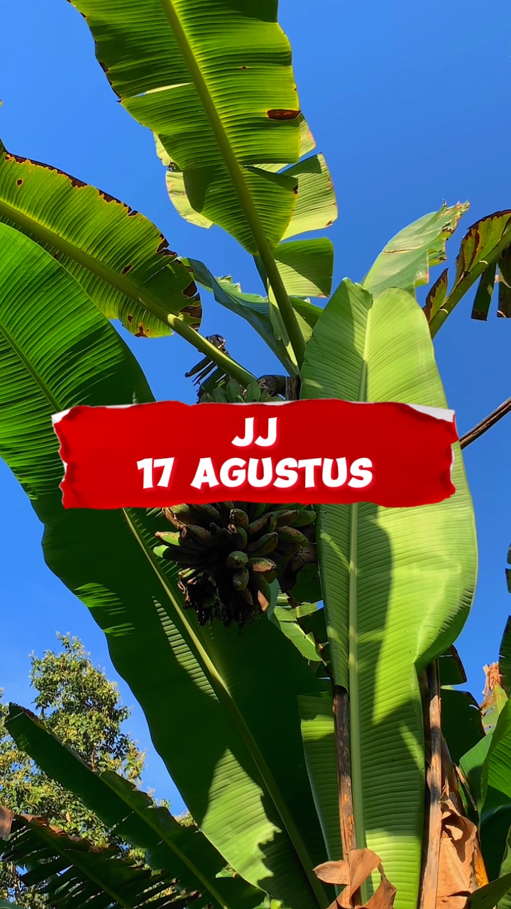 17 Agustus JJ 