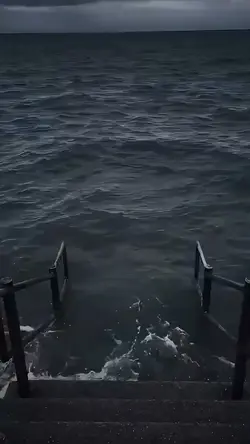 Meme sea