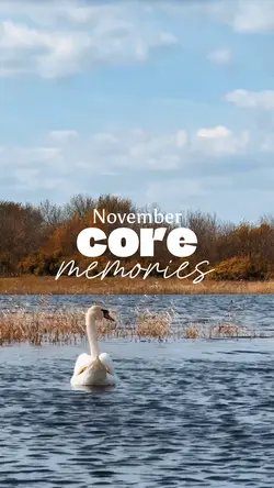Nov core memories