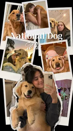 My Dog