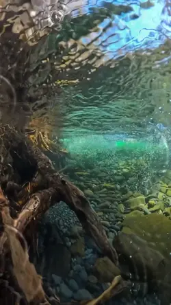 CALMING WATERS 