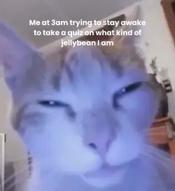 Me at 3am