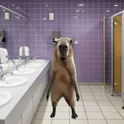 TikTok is wild rn